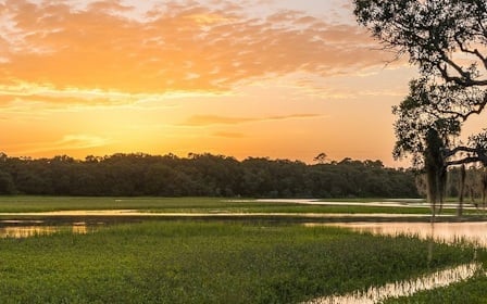 A field with trees and a body of water in the background.