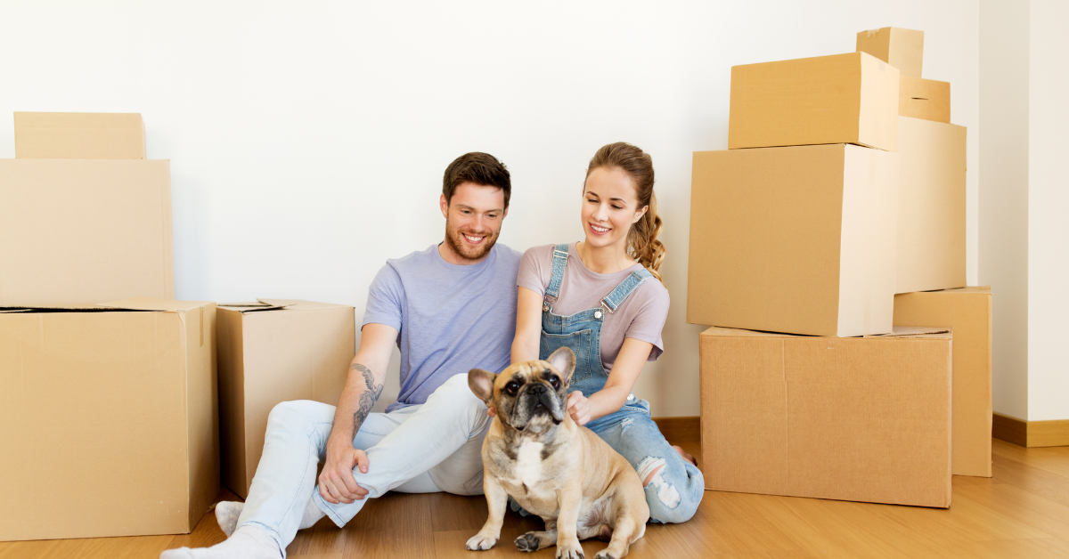 Moving with Pets: How to Create a Paw-some Pet-Friendly Home