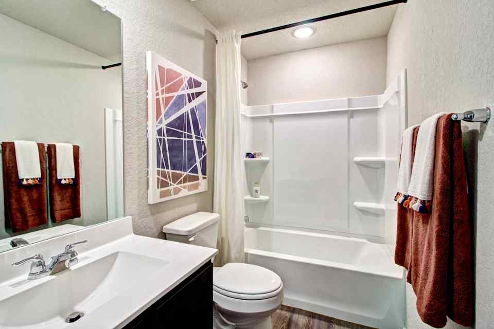 Santiago model hall bathroom from Blue Ridge Ranch in San Antonio by Century Communities